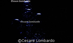 Mediterranean Sea
Bubbles by Cesare Lombardo 
